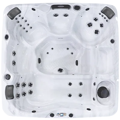 Avalon EC-840L hot tubs for sale in Pasco